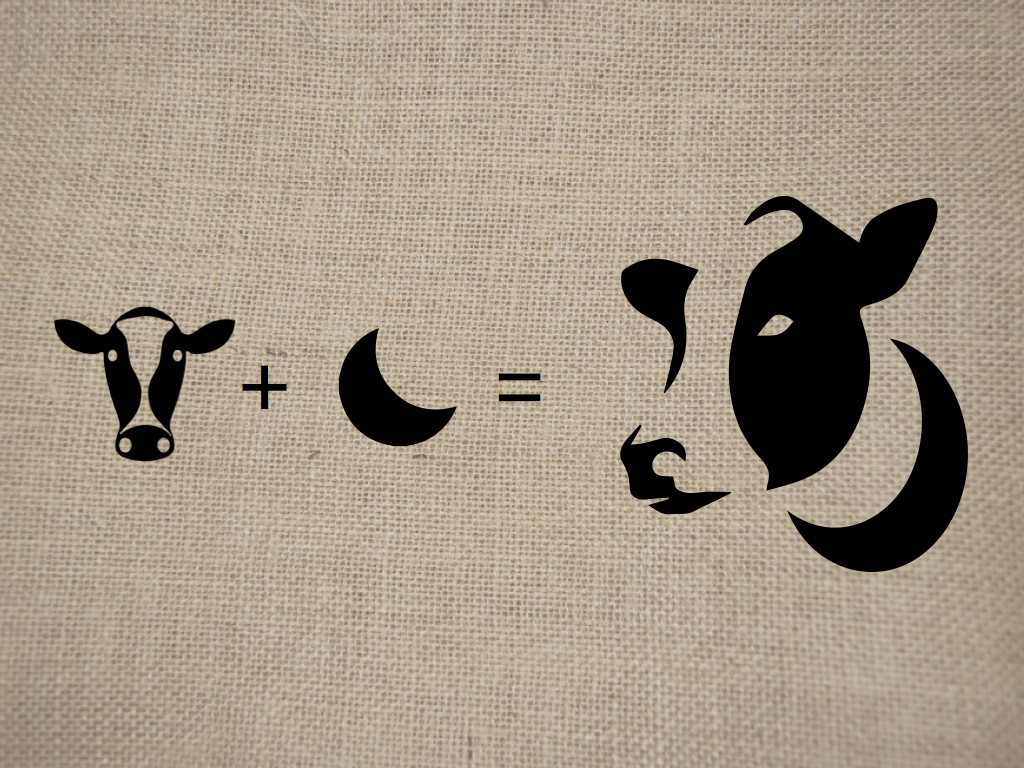 Theory behind branding and logo design showing the combination of a cow and a moon creating one cohesive logo